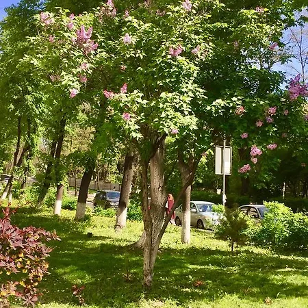Хостел Westend *